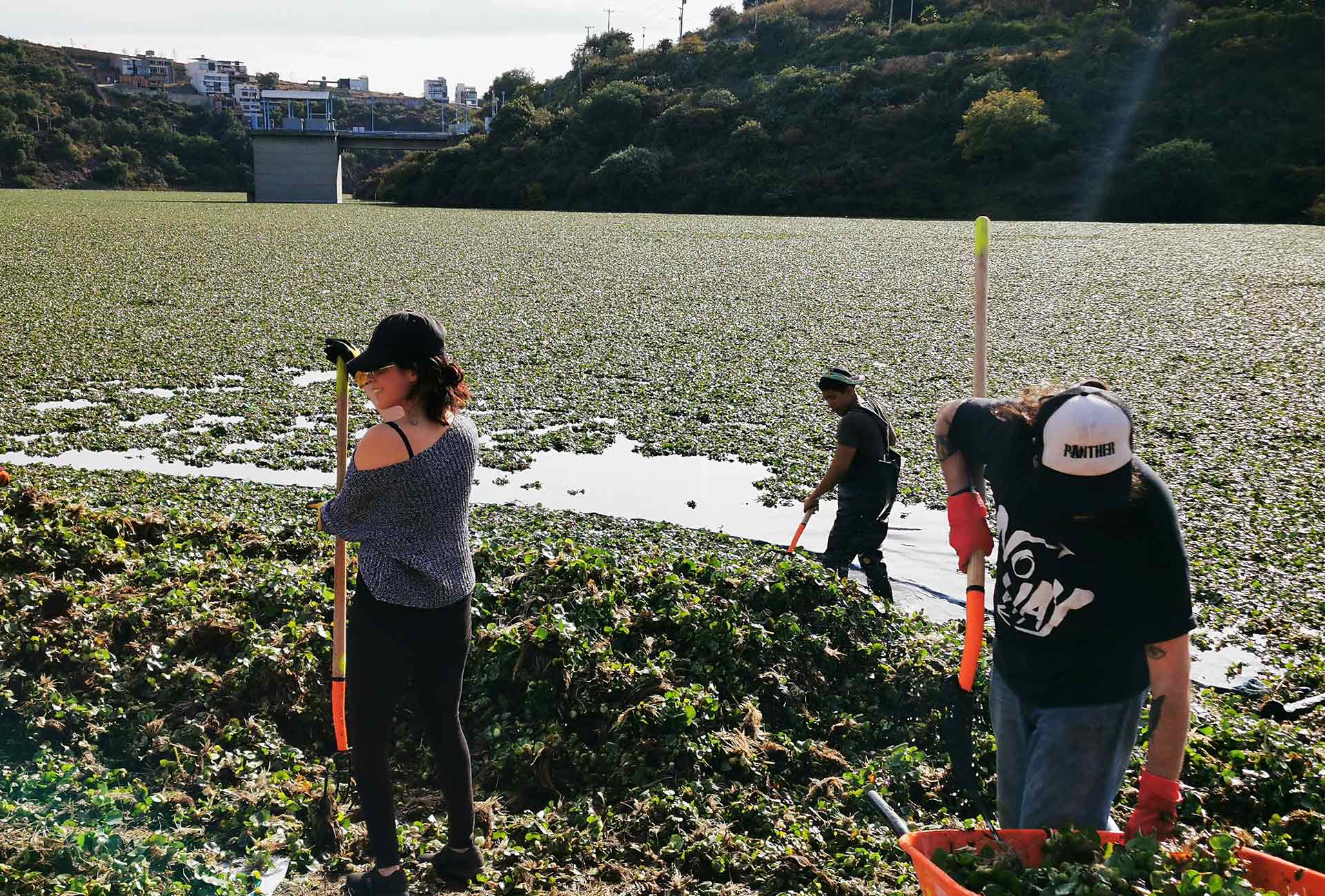Participantes trabajando juntos en un proyecto de restauración de agua